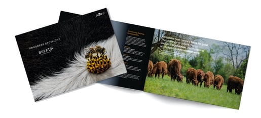 case-cargill-beefup-inline-3522-1035-470.62a9ae1