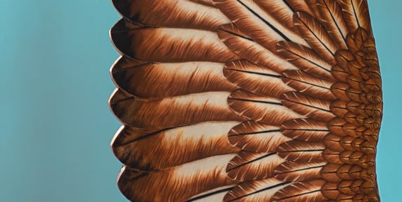 work-rspb-state-of-nature-report-808-991-500.d34501f