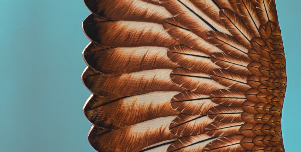 work-rspb-state-of-nature-report-808-991-500.d34501f